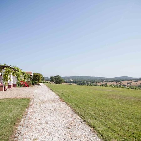 Villa Stunning Mansion In Sao Cristovao Montemor-o-Novo Exterior foto